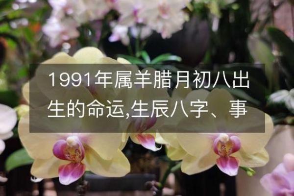 1991年出生属什么生肖